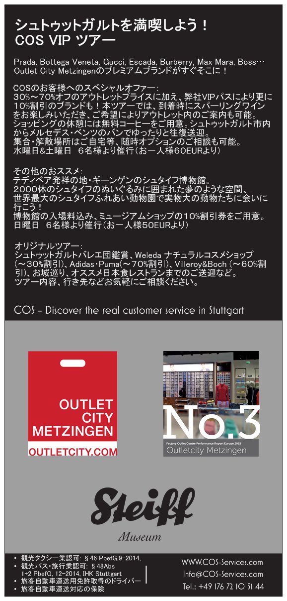 COS Services Flyer JA